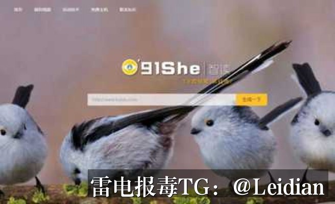 剧照5
