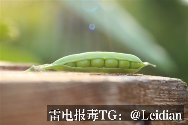 剧照6