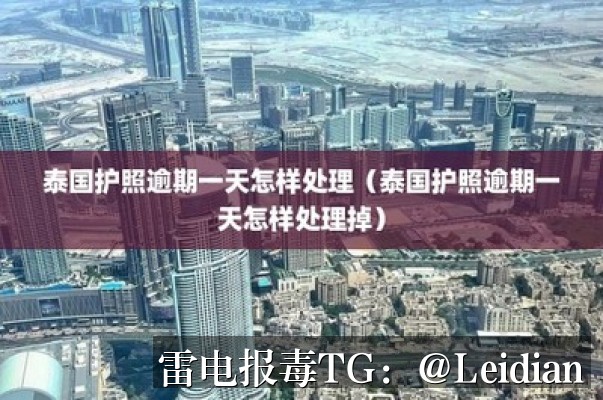剧照7