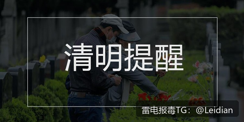 剧照2
