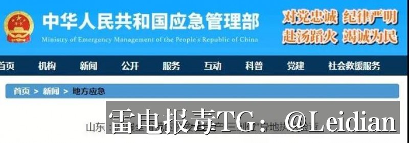 剧照6