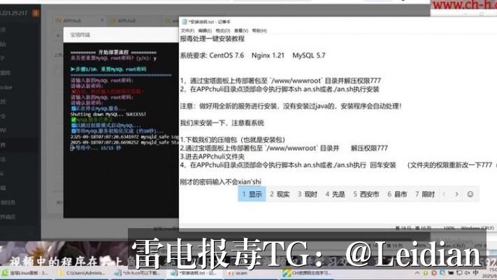 剧照4