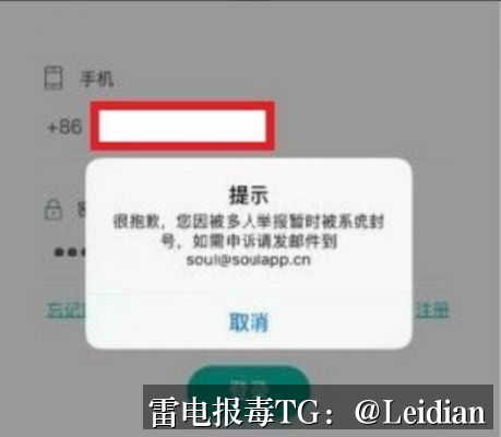剧照7